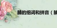 脯的組詞和拼音(脯的組詞)