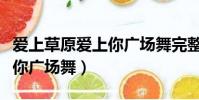 愛上草原愛上你廣場舞完整版(愛上草原愛上你廣場舞)