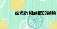 鹵煮輝和頑皮的視頻(鹵煮輝)