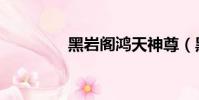 黑巖閣鴻天神尊(黑巖閣)