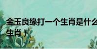 金玉良緣打一個生肖是什么(金玉良緣打一個生肖)