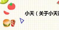 小天(關于小天簡介)