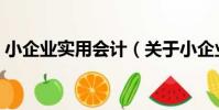 小企業實用會計(關于小企業實用會計簡介)