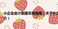 小企業會計制度實用指南(關于小企業會計制度實用指南簡介)