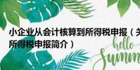 小企業從會計核算到所得稅申報(關于小企業從會計核算到所得稅申報簡介)