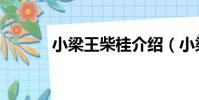 小梁王柴桂介紹(小梁王柴桂)