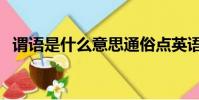 謂語是什么意思通俗點英語(謂語是什么)