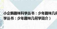 小企鵝趣味科學叢書:少年趣味幾何學(關于小企鵝趣味科學叢書:少年趣味幾何學簡介)