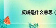 反哺是什么意思(反哺)