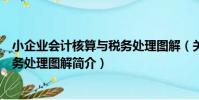 小企業會計核算與稅務處理圖解(關于小企業會計核算與稅務處理圖解簡介)
