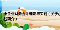 小企業財務會計理論與實踐(關于小企業財務會計理論與實踐簡介)