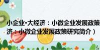 小企業·大經濟:小微企業發展政策研究(關于小企業·大經濟:小微企業發展政策研究簡介)