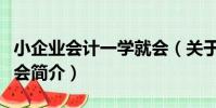 小企業會計一學就會(關于小企業會計一學就會簡介)