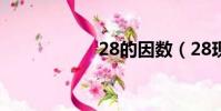 28的因數(28現象)