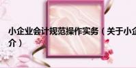 小企業會計規范操作實務(關于小企業會計規范操作實務簡介)