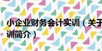 小企業財務會計實訓(關于小企業財務會計實訓簡介)
