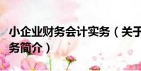 小企業財務會計實務(關于小企業財務會計實務簡介)