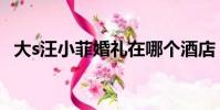 大s汪小菲婚禮在哪個酒店(大s結婚酒店)