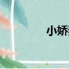 小嬌妻（關于小嬌妻簡介）