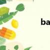 barfer的意思（barf）
