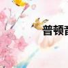 普頓音響kf-10（普頓音響）