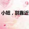 小妞，別靠近我（關于小妞，別靠近我簡介）