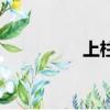 上柱香表情包（上柱香）