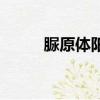 脲原體陽性是怎么引起的女（脲）