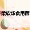 柔軟華食用菌怎么樣（柔軟華食用菌保健品）