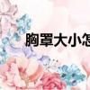 胸罩大小怎么分辨（胸罩大小怎么分）