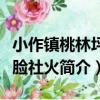 小作鎮桃林坪花臉社火（關于小作鎮桃林坪花臉社火簡介）