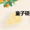 童子碩生辟字怎么寫（童子碩）