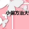 小偏方治大病（關于小偏方治大病簡介）