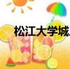 松江大學城三期地址（松江大學城三期）