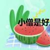 小僧是好人（關于小僧是好人簡介）