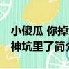 小傻瓜 你掉大神坑里了（關于小傻瓜 你掉大神坑里了簡介）