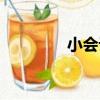 小會計（關于小會計簡介）