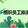 組織員工旅游費用屬于什么費用（組織員）