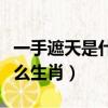 一手遮天是什么生肖什么動物（一手遮天是什么生肖）