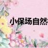 小保場自然村（關于小保場自然村簡介）