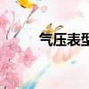氣壓表型號（壓力表的規格型號）