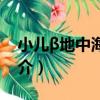 小兒β地中海貧血（關于小兒β地中海貧血簡介）