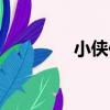 小俠們（關于小俠們簡介）
