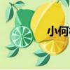 小何村（關于小何村簡介）