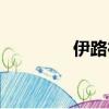 伊路德人皮套（伊路德人）
