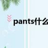 pants什么意思中文（pant什么意思）
