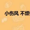 小傷風 不煩惱（關于小傷風 不煩惱簡介）