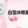 白雪冰柜展示柜價格（白雪冰柜價格）