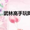 武林高手玩網游的小說（武林高手玩網游）
