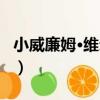 小威廉姆·維爾曼（關于小威廉姆·維爾曼簡介）